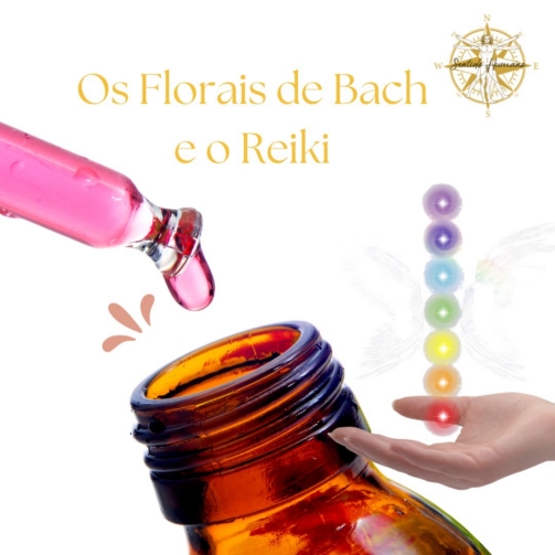 Os Florais de Bach e o Reiki
